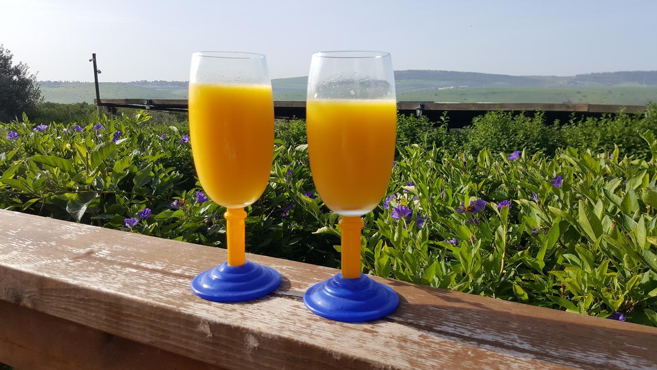 Berale Villa Kefar Kish Buitenkant foto